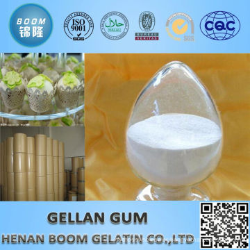 Top quality of 10 years exprerienc manufacturer edible halal gum gellan for smoothing surface agent